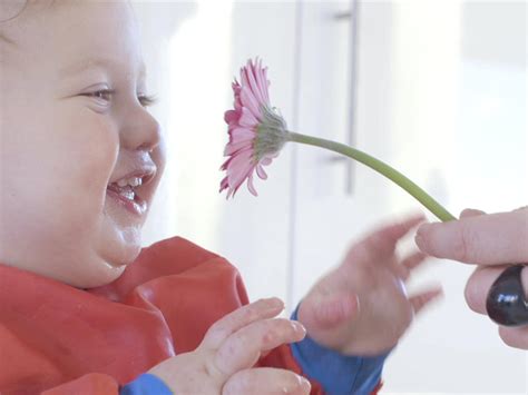 babys sense  smell develops video babycenter