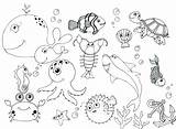Coloring Ocean Sheets Getdrawings Creatures Pages sketch template
