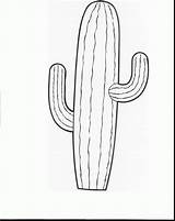 Saguaro Getdrawings Psd sketch template