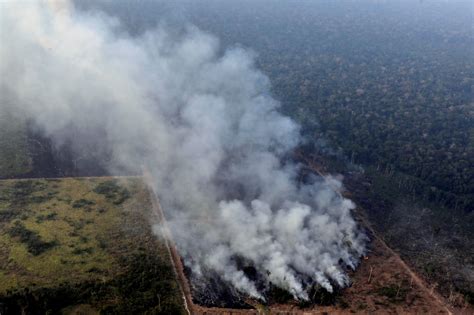 amazon rainforest fires heres whats  happening   york