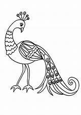 Peacock Bojanke Ptica Ptice Tulamama Nazad sketch template
