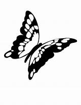 Butterfly Outline Coloring Monarch Clipart Pages Drawing Flying Cocoon Tattoo Cliparts Titlis Color Template Printable Print Winged Clipartmag Clipground Getdrawings sketch template
