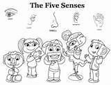 Five Senses Coloring Preschool Sheets Learning Science Stuff sketch template