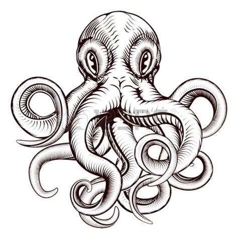octopus tentacles drawing    clipartmag