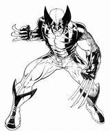 Wolverine Lobezno Dibujos Coloringhome Doghousemusic sketch template