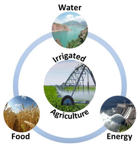 research article sustainability considerations  waterenergyfood