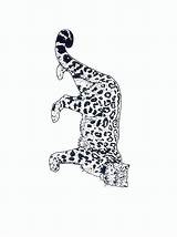 Jachtluipaard Kleurplaten Guepard Cheetah Colorat Gepard Tigri Kleurplaat Animale Felini Malvorlagen P20 Leopardos Mewarnai Citah Animierte Leoni Cheetahs Planse Coloriages sketch template