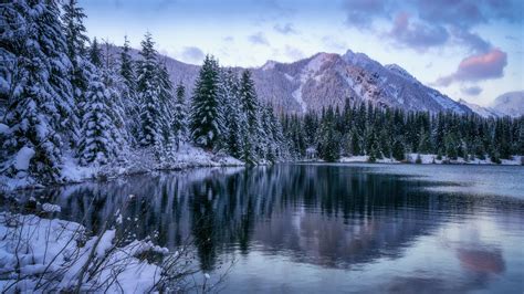 forest lake  snow covered mountain  winter   hd nature