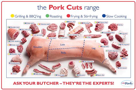 pig butcher shop sign pork meat chart butcher diagram meat cuts
