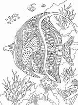 Coloring Pages Fish Zentangle Adults Adult Bright Teens Colors Favorite Choose Color sketch template