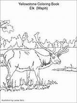 Coloring Teton Range Pages Kids Yellowstone 314px 36kb sketch template