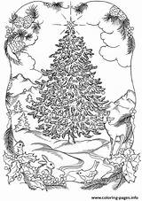 Coloring Christmas Tree Adults Pages Nature Printable Color Book Print Prints sketch template