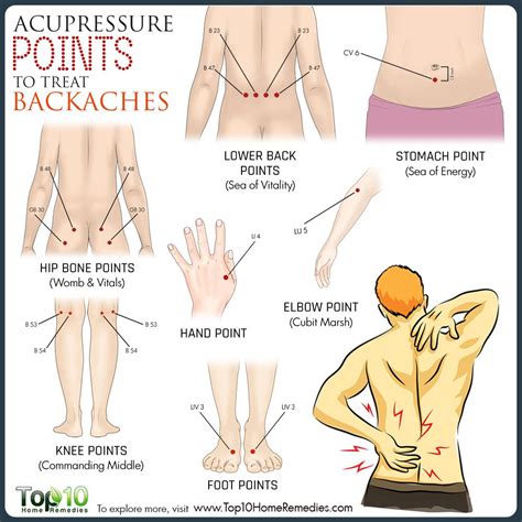 Most Important Acupressure Points For Back Pain Relief Top 10 Home