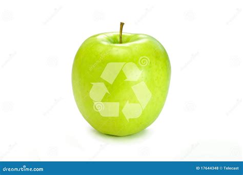 apples recycle stock photo image  white green protected