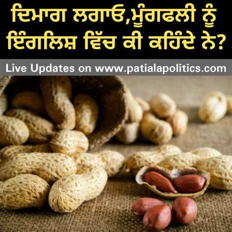 call mungfali  english patiala politics