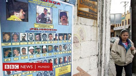 Por Qué Los Carteles Del Narcotráfico En México Se Parecen A Las