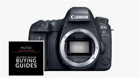 canon dslrs   budget muted
