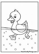 Duck Ducks Pond Iheartcraftythings sketch template