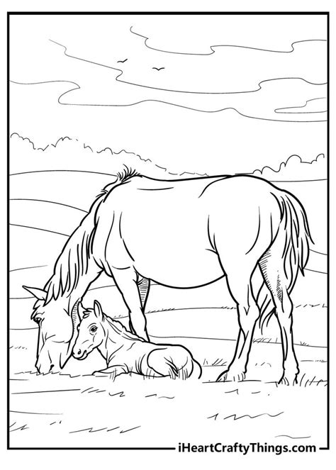 coloring pages  ponies
