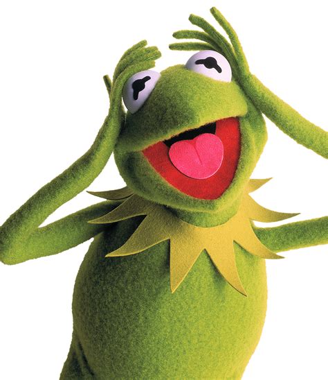 kermit  frog muppet wiki