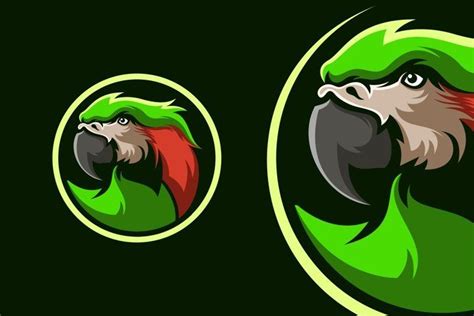 parrots logo design  logos design bundles   parrot logo logo design