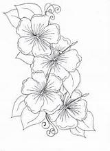 Flower Hibiscus Coloring Drawing Pages Flowers Drawings Tattoo Hawaiian Sampaguita Color Tattoos Draw Cliparts Colorluna Getdrawings Library Clipart Moon Visit sketch template