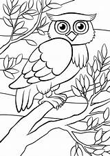 Lente Kleurplaat Uil Jufmaike Owls Sits Beleef Kleurplaten Perched Materiaal Adults sketch template