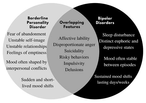 borderline personality disorder brain  normal