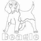Beagle Coloring Beagles sketch template