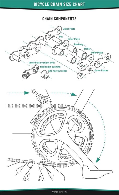 parts   bicycle chain illustration verbnow