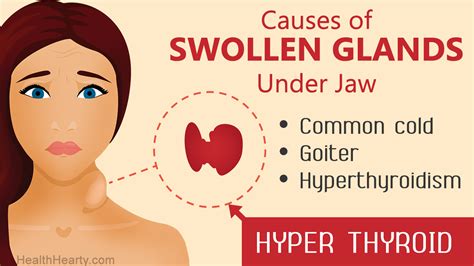 swollen glands  jaw health hearty