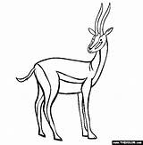 Colorat Antilopa Animale Desene Antelope Antilope Salbatice Gazelle Planse Fise Lucru Preschool Munte Capra Gradinita Pintarcolorir Cai Copii Popular Educative sketch template