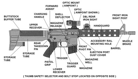 picture illustrates  parts   rifle  chose  picture   relates