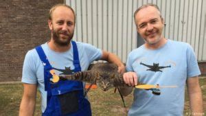 cat drone  drone  shook  world