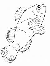 Fish Coloring Pages Kids Printable Poisson sketch template