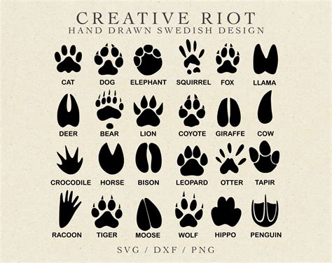 paw prints bundle commercial  svg paws clipart dog paw etsy