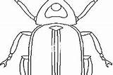 Coloring Pages Beetle Weevils sketch template
