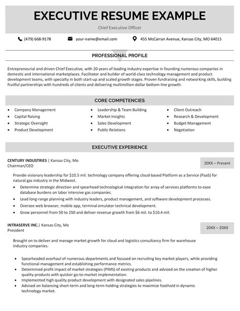 executive resume template examples walkthrough