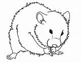 Hamster Coloring Pages Print Printable Color Getcolorings sketch template