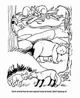 Coloring Pages Earth Habitats Natural Ecology Habitat Protect Forest Drawing Sheets Animal Activity Colouring Plains Great Animals Print Kids Honkingdonkey sketch template