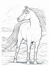 Horse Coloring Pages Galloping Morgan Printable Mustang Getcolorings Race Horses Wild Getdrawings Unique sketch template