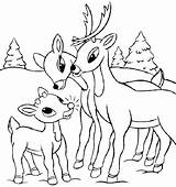 Reindeer Coloring Deer Pages Santa His Tailed Color Head Kids Getcolorings Whitetail Printable Getdrawings Print Colorings sketch template