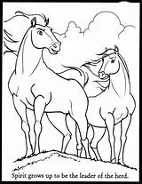 Stallion Cimarron Herd sketch template