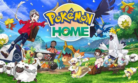 pokemon home lets  share pokemon  games mypotatogames