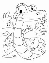 Coloring Boa Snake Constrictor Pages Anaconda Snakes Color Prey Looking Its Kids Reticulated Ausmalen Ausmalbild Designlooter Ausmalbilder Popular Printable Coloringhome sketch template