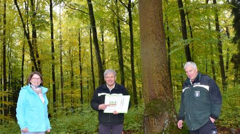 forstamt burgwald wird hessenweiter modell betrieb fuer klimaschutz