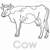 Cow Coloring Pages Dairy Printable Print Color Getdrawings Getcolorings Kids sketch template