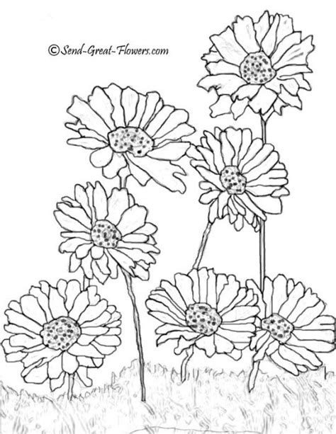 coloring page flower coloring pages summer coloring pages printable