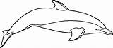 Dolphin Coloring Pages Printable Whale Outline Killer Kids Clipart Bottlenose Dolphins Print Drawing River Color Spinner Cliparts Realistic Amazon Templates sketch template