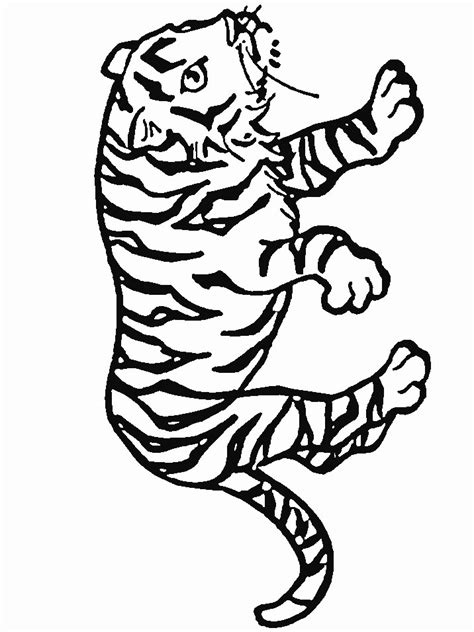 kids  funcom coloring page tigers tigers